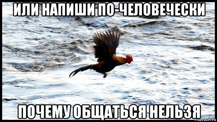 или напиши по-человечески почему общаться нельзя