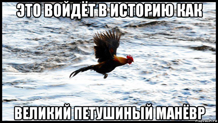 это войдёт в историю как великий петушиный манёвр
