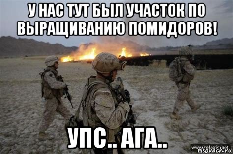 у нас тут был участок по выращиванию помидоров! упс.. ага.., Мем Плохие американцы
