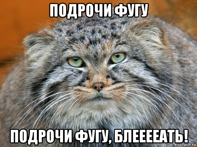 подрочи фугу подрочи фугу, блееееать!