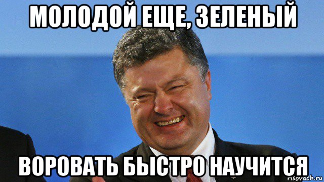 молодой еще, зеленый воровать быстро научится