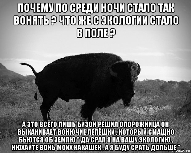 почему по среди ночи стало так вонять ? что же с экологии стало в поле ? а это всего лишь бизон решил опорожница он выкакивает вонючие лепёшки , который смащно бьются об землю " да срал я на вашу экологию , нюхайте вонь моих какашек , а я буду срать дольше ", Мем Прекрасно
