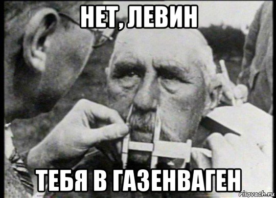 нет, левин тебя в газенваген, Мем Проверка на чистоту