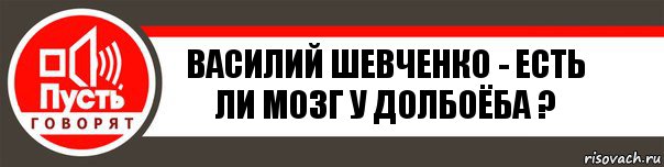 ВАСИЛИЙ ШЕВЧЕНКО - ЕСТЬ ЛИ МОЗГ У ДОЛБОЁБА ?