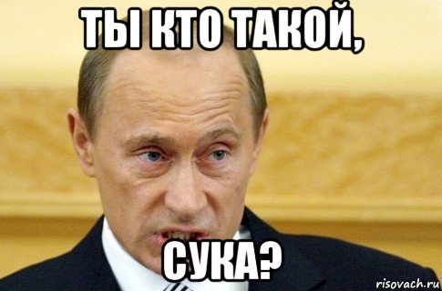 ты кто такой, сука?, Мем путин