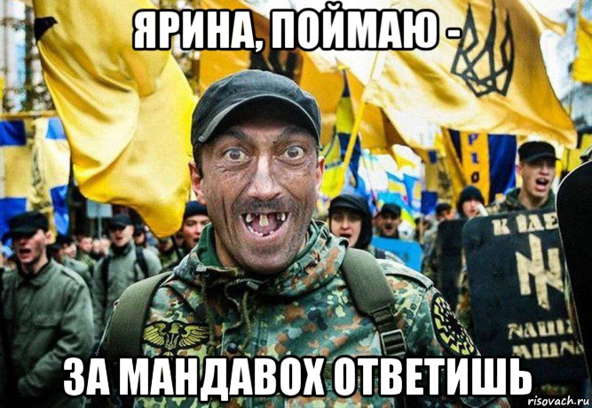 ярина, поймаю - за мандавох ответишь