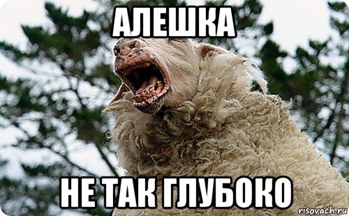 алешка не так глубоко