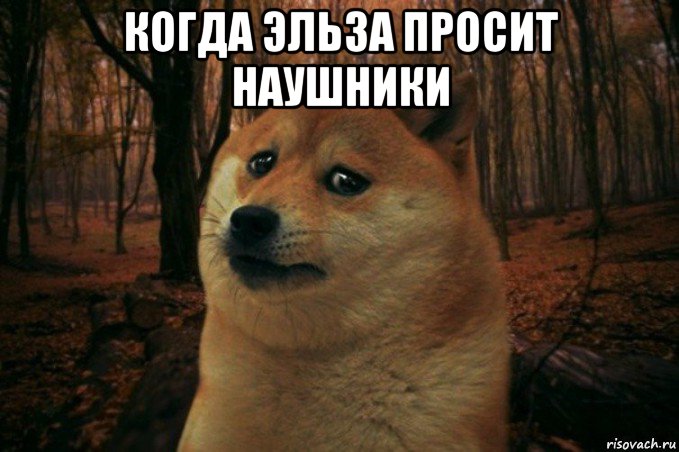 когда эльза просит наушники , Мем SAD DOGE