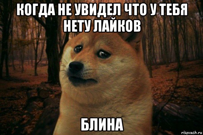 когда не увидел что у тебя нету лайков блина, Мем SAD DOGE