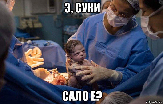 э, суки сало е?, Мем Самый юный мдшник