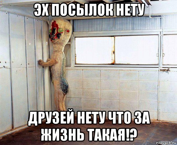 эх посылок нету друзей нету что за жизнь такая!?