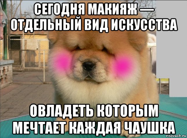 сегодня макияж — отдельный вид искусства овладеть которым мечтает каждая чаушка, Мем Сегодня макияж  отдельный вид искусства