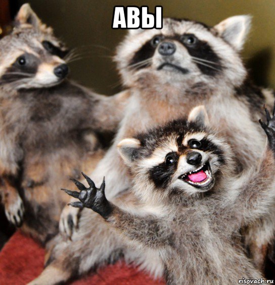 авы 