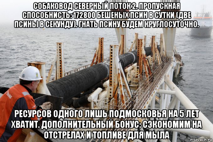 собаковод северный поток 2. пропускная способнисть: 172800 бешеных псин в сутки (две псины в секунду). гнать псину будем круглосуточно. ресурсов одного лишь подмосковья на 5 лет хватит. дополнительный бонус: сэкономим на отстрелах и топливе для мыла, Мем Собаковод Северный поток 2