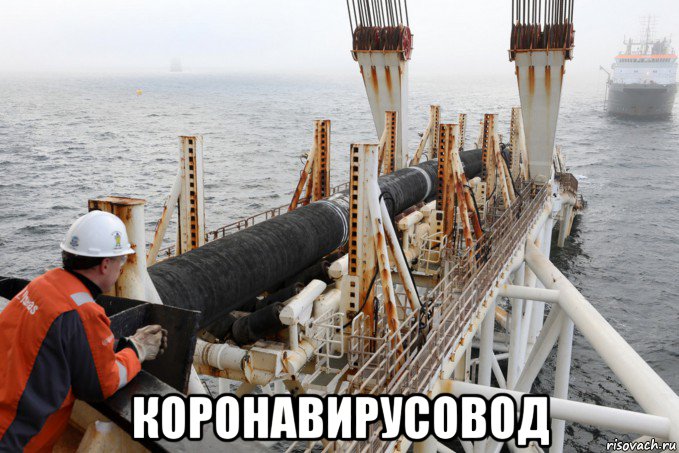  коронавирусовод, Мем Собаковод Северный поток 2