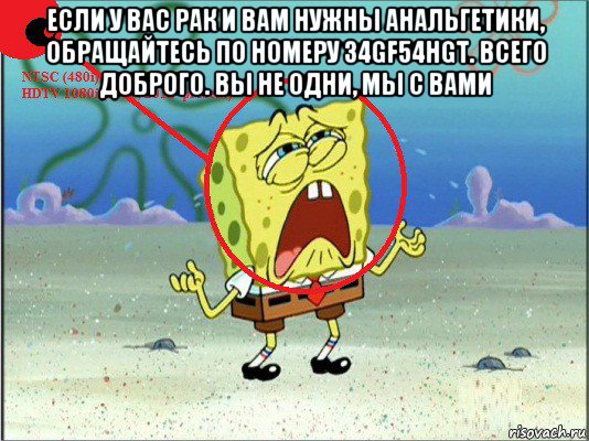 если у вас рак и вам нужны анальгетики, обращайтесь по номеру 34gf54hgt. всего доброго. вы не одни, мы с вами 