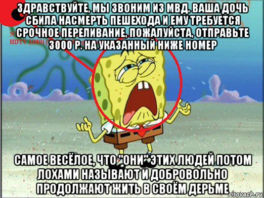 здравствуйте, мы звоним из мвд. ваша дочь сбила насмерть пешехода и ему требуется срочное переливание, пожалуйста, отправьте 3000 р. на указанный ниже номер самое весёлое, что "они" этих людей потом лохами называют и добровольно продолжают жить в своём дерьме
