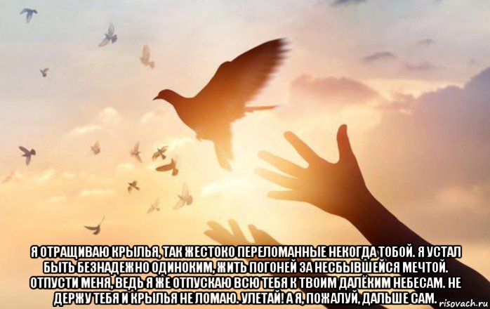  я отращиваю крылья, так жестоко переломанные некогда тобой. я устал быть безнадежно одиноким, жить погоней за несбывшейся мечтой. отпусти меня, ведь я же отпускаю всю тебя к твоим далёким небесам. не держу тебя и крылья не ломаю. улетай! а я, пожалуй, дальше сам., Мем Статус