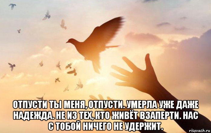  отпусти ты меня, отпусти. умерла уже даже надежда. не из тех, кто живёт взаперти. нас с тобой ничего не удержит., Мем Статус