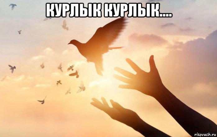 курлык курлык.... , Мем Статус