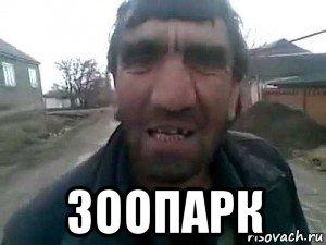  зоопарк, Мем Таджик