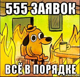 555 заявок всё в порядке