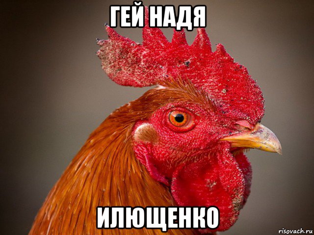 гей надя илющенко