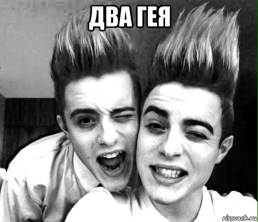 два гея , Мем Two петуха
