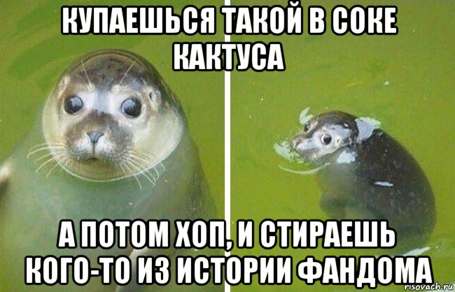 купаешься такой в соке кактуса а потом хоп, и стираешь кого-то из истории фандома, Мем Тюлень