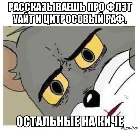 рассказываешь про флэт уайт и цитросовый раф. остальные на киче, Мем Удивленный кот том