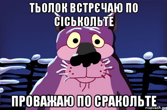 тьолок встрєчаю по сіськольте проважаю по сракольте, Мем Волк
