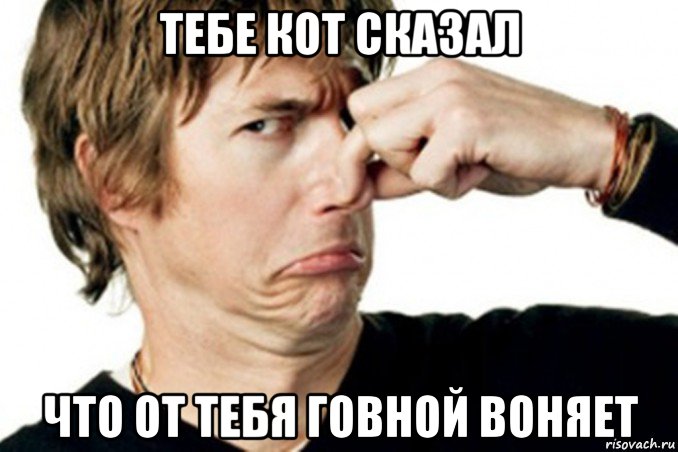тебе кот сказал что от тебя говной воняет, Мем Воняет