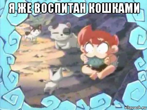 я же воспитан кошками 