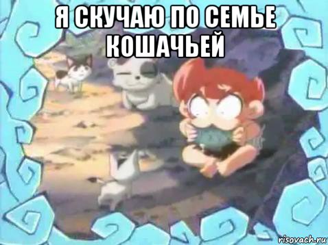 я скучаю по семье кошачьей 