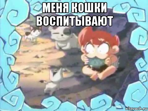 меня кошки воспитывают 