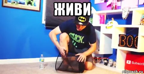 живи , Мем Живи
