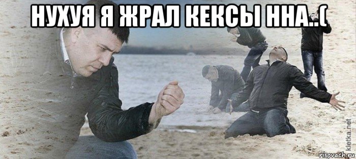 нухуя я жрал кексы нна..( 