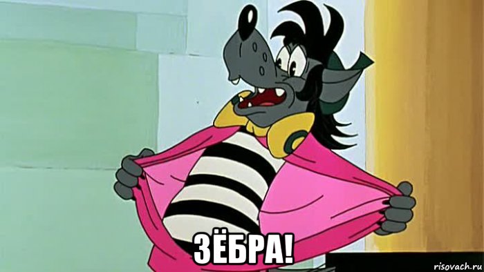  зёбра!