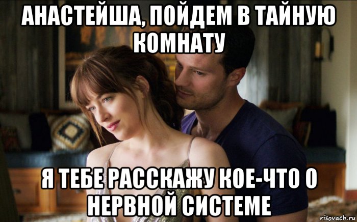 анастейша, пойдем в тайную комнату я тебе расскажу кое-что о нервной системе, Мем 50 оттенков