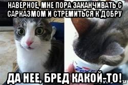 наверное, мне пора заканчивать с сарказмом и стремиться к добру да нее, бред какой-то!, Мем А что если