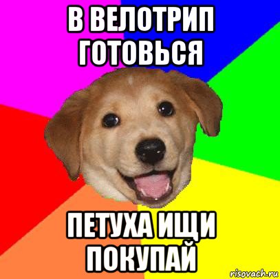 в велотрип готовься петуха ищи покупай, Мем Advice Dog