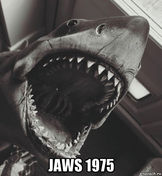  jaws 1975, Мем Акула Брюс
