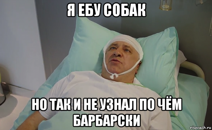 я ебу собак но так и не узнал по чём барбарски, Мем Алёхин отель элеон