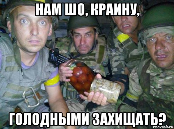 нам шо, краину, голодными захищать?
