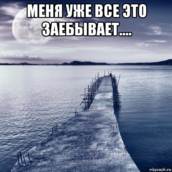 меня уже все это заебывает.... , Мем Блюз