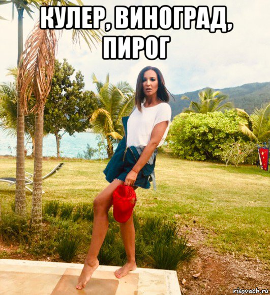 кулер, виноград, пирог 