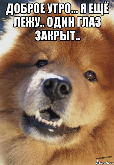 доброе утро... я ещё лежу.. один глаз закрыт.. 