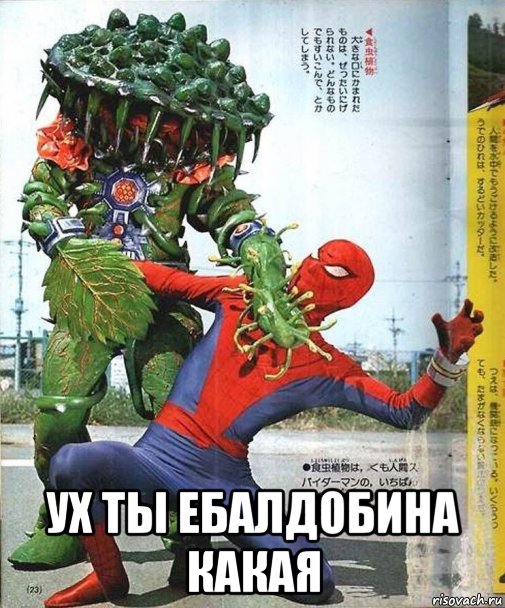  ух ты ебалдобина какая, Мем Человек паук
