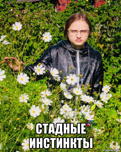  стадные инстинкты, Мем Clinic