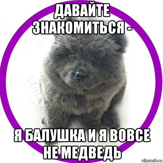 давайте знакомиться - я балушка и я вовсе не медведь, Мем Давайте знакомится